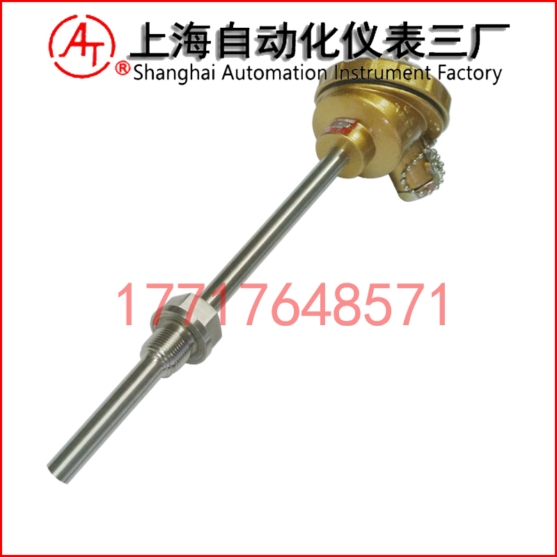 WRN2-230雙支熱電偶